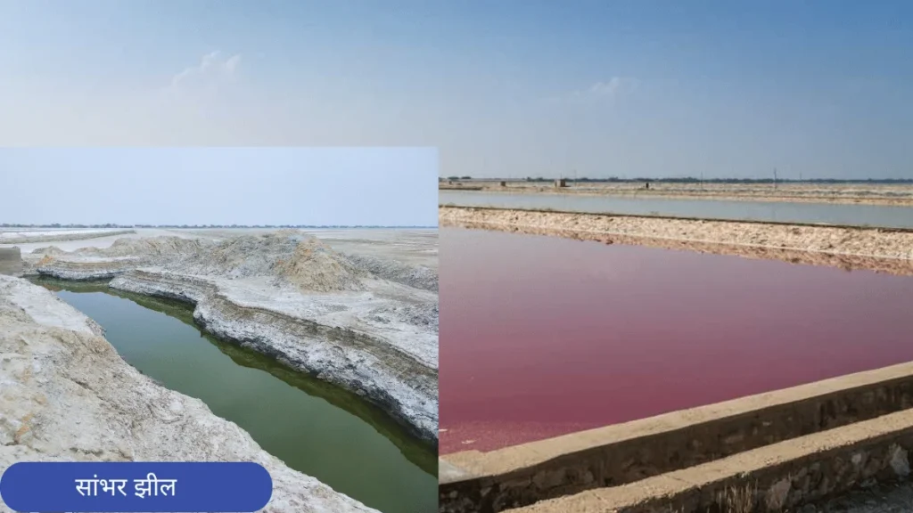 सांभर झील