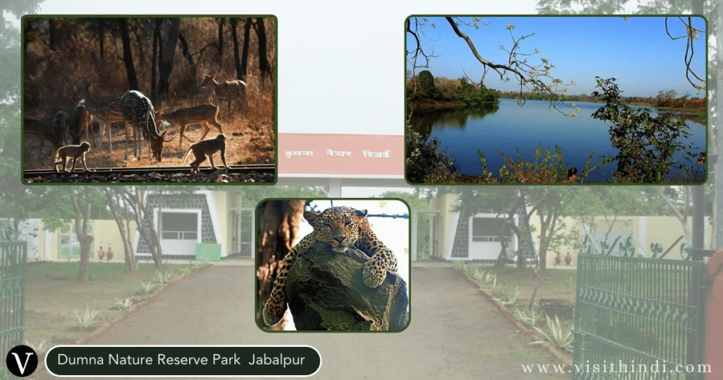 Tourist Places in Jabalpur - Dumna Nature Reserve Park