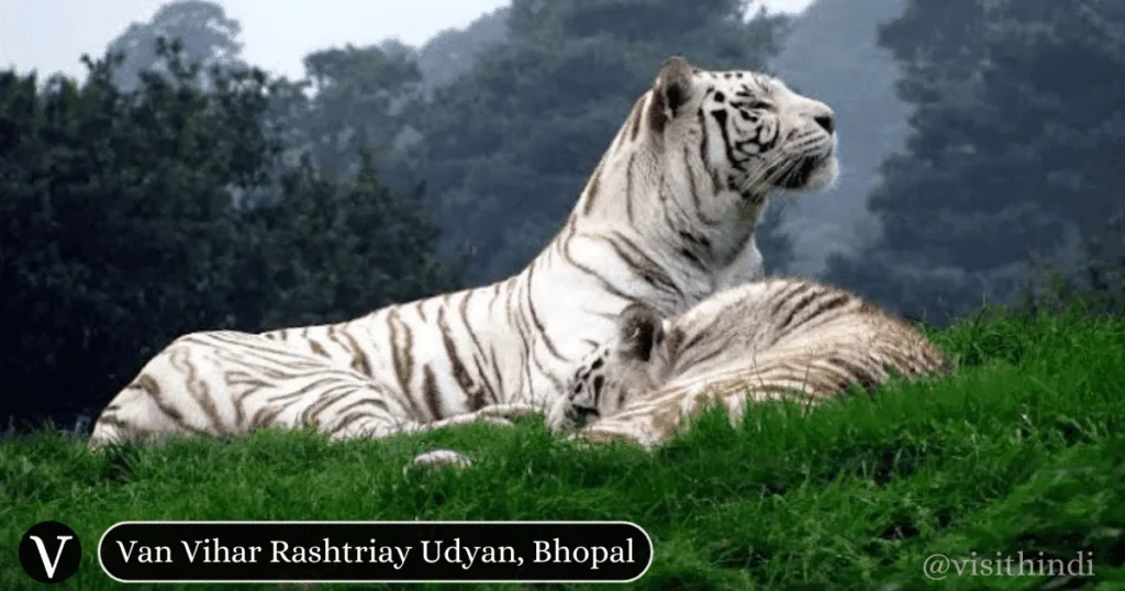 वन विहार राष्ट्रीय उद्यान bhopal